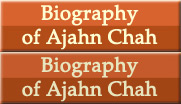 Biography of Ajahn Chah